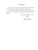 Đánh giá hiệu quả đầu tư xây dựng cơ bản huyện sơn dương – tỉnh tuyên quang