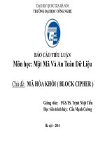 BÁO CÁO TIỂU LUẬN Môn học: Mật Mã Và An Toàn Dữ Liệu MÃ HÓA KHỐI ( BLOCK CIPHER )