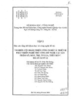 Nghiên cứu hoàn thiện công nghệ và thiết bị phát triển nghề thủ công mỹ nghệ các sản phẩm gỗ, mây, tre, tơ lụa, thêu ren Tập 2