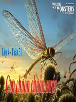 Con chuồn chuồn nước