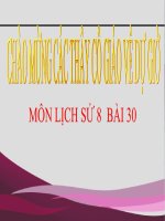 bài giảng lịch sử 8 bài 30 phong trào yêu nước chống pháp từ đầu thế kỉ 20 đến năm 1918