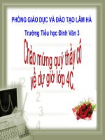 Vẽ về cuộc sống an toàn