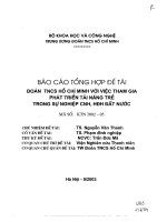 Đoàn thành niên cộng sản Hồ Chính Minh với việc tham gia phát triển tài năng trẻ trong sự nghiệp công nghiệp hóa, hiện đại hóa đất nước