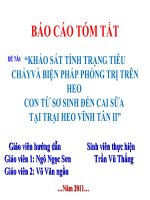 bao cao tot nghiep