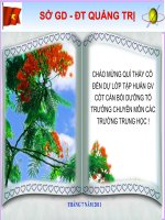 CHUYÊN ĐỀ 1-TẬP HUẤN CÔNG TÁC TTCM HÈ 2011