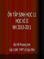 ÔN TẬP SINH HỌC 11