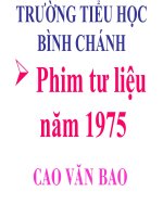 lịch sử VN 1975