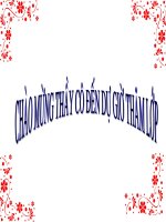 Tập đọc: Con gái