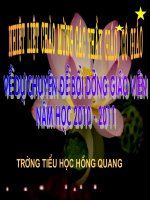 Chuyên đề : Bồi dưỡng cảm thụ văn học cho học sinh TH