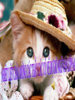 giáo án bồi dưỡng thao giảng ngữ văn lớp 6 ngôi kể  và lời kể trong văn tự sự (7)