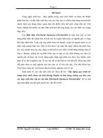Xây dựng quy trình kỹ thuật tách chiết, khảo sát tính kháng khuẩn và khả năng chống oxy hóa của các hợp chất thứ cấp từ cây bìm Eberhardt (Ipomoea Eberhardtii)