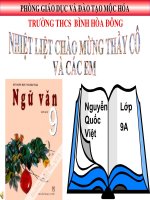 CÁC THÀNH PHẦN BIỆT LẬP (TT)