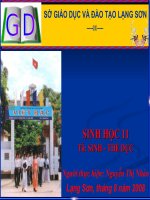 giáo án bồi dưỡng thao giảng môn sinh học lớp 6 sự vận chuyển các chất trong thân (7)