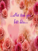 Noi tinh yeu bat dau