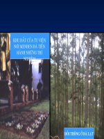 Bài 2: Tiết 1 - Lai một cặp tính trạng