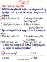 giáo án bồi dưỡng thao giảng môn sinh học lớp 6 sự vận chuyển các chất trong thân (4)