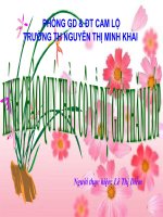 TẬP ĐỌC CON CHIM CHIỀN CHIỆN