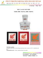 Mực cao su đàn hồi chính hãng 1500 1500cy