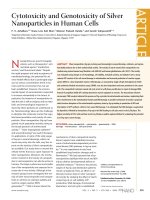 các hạt nano trong các tế bào của con người