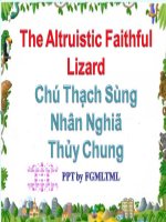 THE ALTRUISTIC FAITHFUL LIZARD - CHÚ THẠCH SÙNG NHÂN NGHĨA  THỦY CHUNG - 08/06/2011