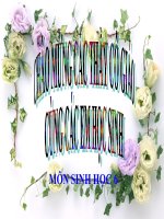 giáo án bồi dưỡng thao giảng môn sinh học lớp 6 sự vận chuyển các chất trong thân (1)