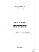 Nghiên cứu ứng dụng mô hình phấn tích thống kê tổng hợp
