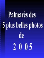 những bức tranh tuyệt đẹp