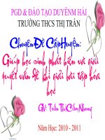 Chuyên đề cấp tỉnh