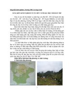 Sáng kiến kinh nghiệm về nuôi day học sinh bán tru