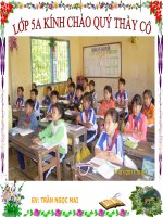 Tìm hiểu về liên hiệp quốc