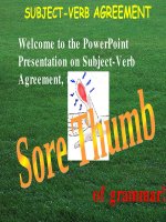 Chủ ngữ động từ hòa hợp