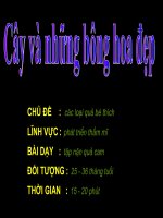 phát triển thẩm mĩ