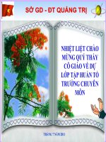 CHUYÊN ĐỀ 3 TẬP HUẤN TTCM HÈ 2011