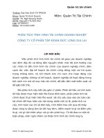 bài phân tích báo cáo tài chính DLG