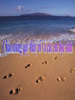 giáo án bồi dưỡng thao giảng môn sinh học lớp 6 sự vận chuyển các chất trong thân (10)