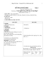 Khoa học 4 cả năm