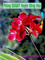 LTVC: Du lịch-Thám hiểm