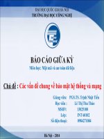 BÁO CÁO Mật mã và an toàn dữ liệu Các vấn đề chung về bảo mật hệ thống và mạng