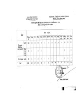 chi tieu bien che Vinh Phuc 2011