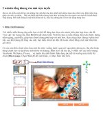 5 WEBSITE TẠO KHUNG ẢNH TRỰC TUYẾN