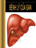 Bài giảng Bệnh lý của gan