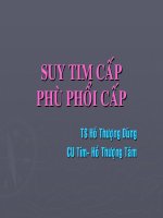 Bài giảng suy tim, phổi cấp
