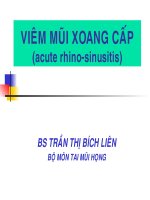 Bài giảng viêm mũi xoang cấp