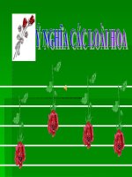 ý nghĩa các loại hoa