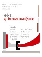 Sự hình thành hoạt động học