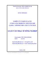 Nghiên cứu vi khuẩn lactic có khả năng probiotic, sinh tổng hợp gamma - aminobutyric acid và ứng dụng