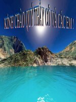 bài 36 tổng kết về cây có hoa