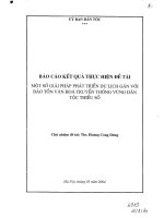 Một số giải pháp phát triển du lịch gắn với bảo tồn văn hóa truyền thống vùng dân tộc thiểu số