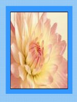 10 unit 12 listening