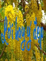 7.Lời hay ý đẹp